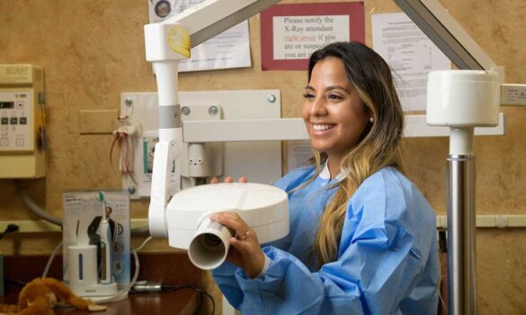 A dentist performing root canals on a patient.